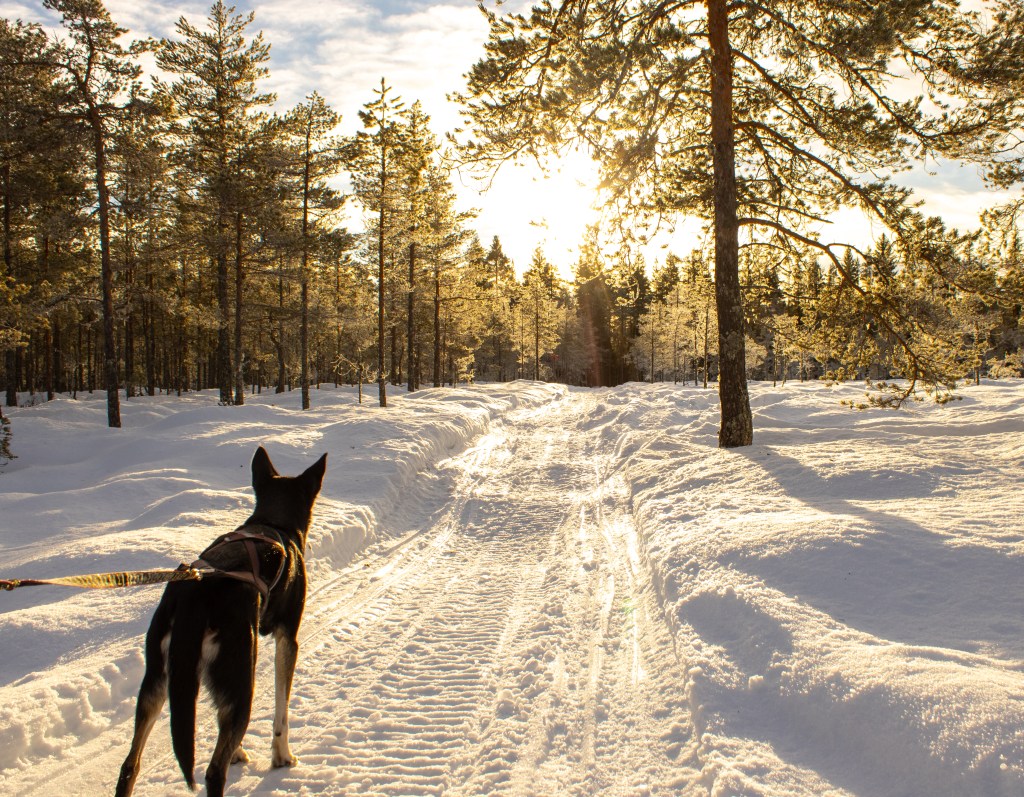 Sågen runt, 6&nbsp;km