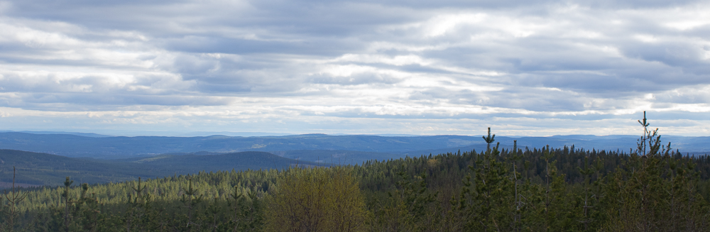 Spjershällen, 6,5 km