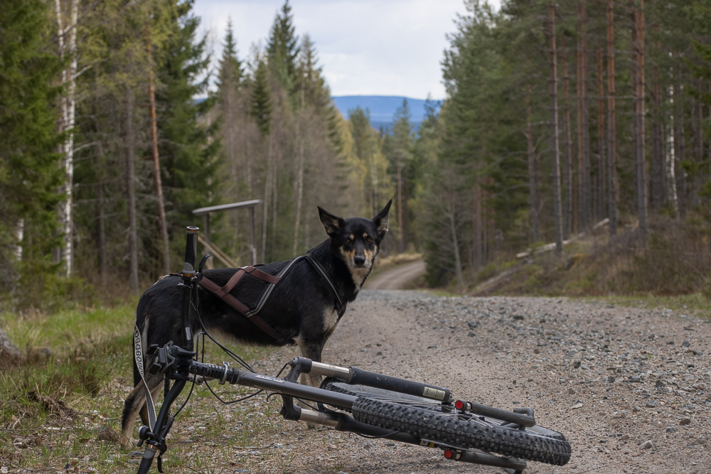 Sommarvägen, 7,5 km